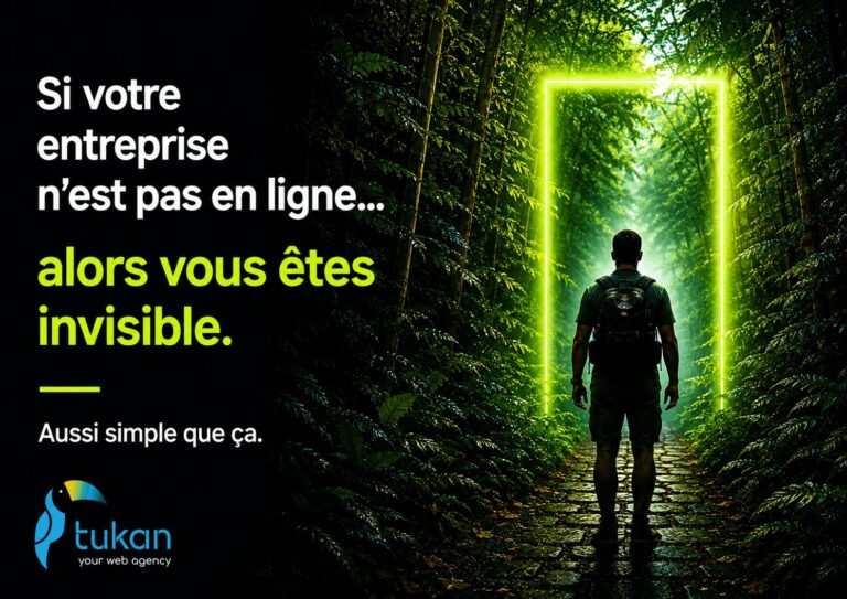 FR website not online invisible